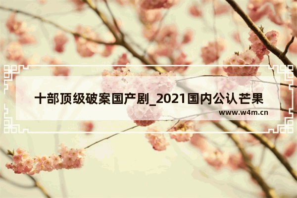 十部顶级破案国产剧_2021国内公认芒果十部最好看剧