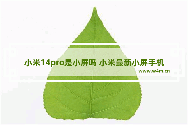 小米14pro是小屏吗 小米最新小屏手机推荐