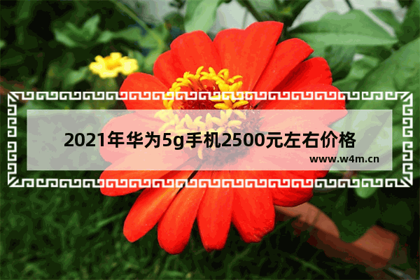 2021年华为5g手机2500元左右价格的哪款手机好 华为两千左右手机推荐5g