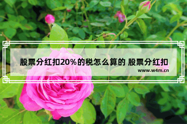 股票分红扣20%的税怎么算的 股票分红扣税算法