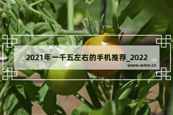 2021年一千五左右的手机推荐_2022年3000元左右的5g手机推荐