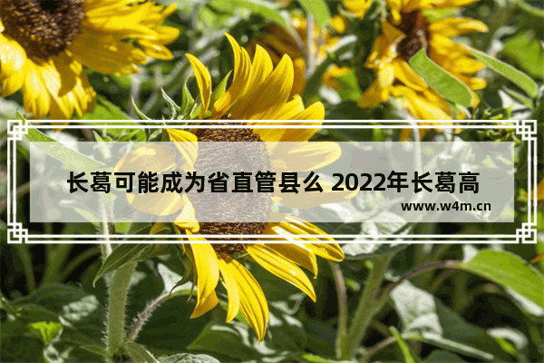 长葛可能成为省直管县么 2022年长葛高考分数线