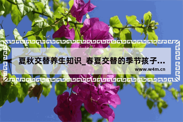 夏秋交替养生知识_春夏交替的季节孩子吃什么最有营养