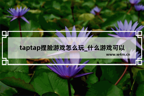 taptap捏脸游戏怎么玩_什么游戏可以捏脸 打怪升级