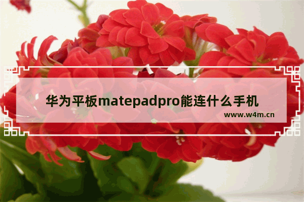 华为平板matepadpro能连什么手机 华为平板搭配手机推荐