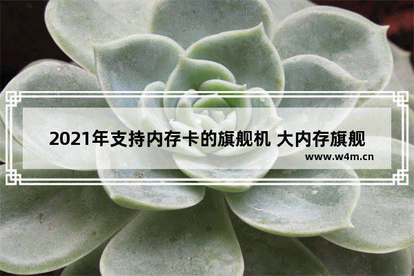 2021年支持内存卡的旗舰机 大内存旗舰手机推荐