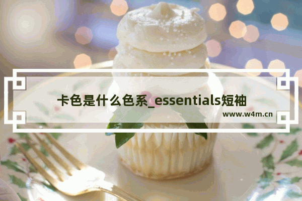 卡色是什么色系_essentials短袖哪个颜色显白