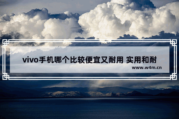 vivo手机哪个比较便宜又耐用 实用和耐用手机推荐哪款