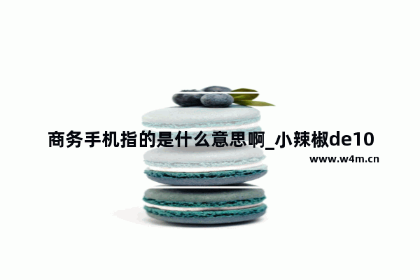 商务手机指的是什么意思啊_小辣椒de10轻奢商务手机好用么