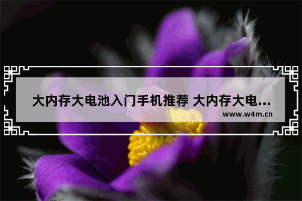 大内存大电池入门手机推荐 大内存大电池入门手机推荐