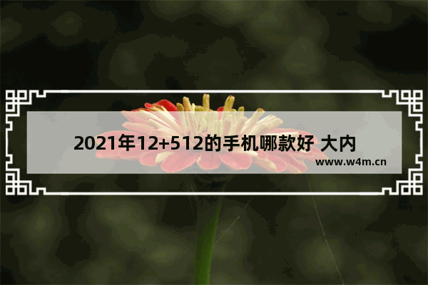 2021年12+512的手机哪款好 大内存大电池容量手机推荐