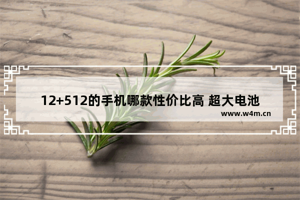 12+512的手机哪款性价比高 超大电池容量手机推荐