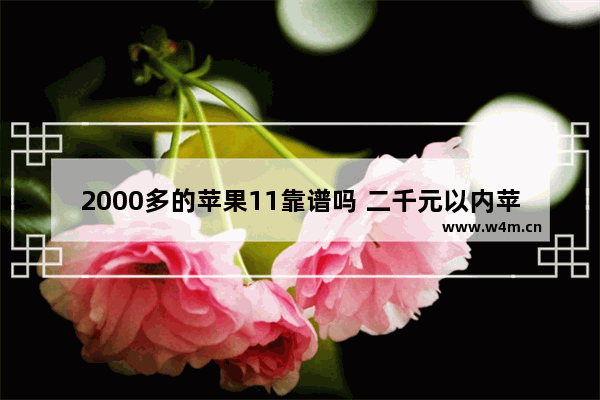 2000多的苹果11靠谱吗 二千元以内苹果手机推荐