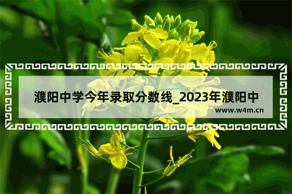 濮阳中学今年录取分数线_2023年濮阳中考要多少分才能上高中