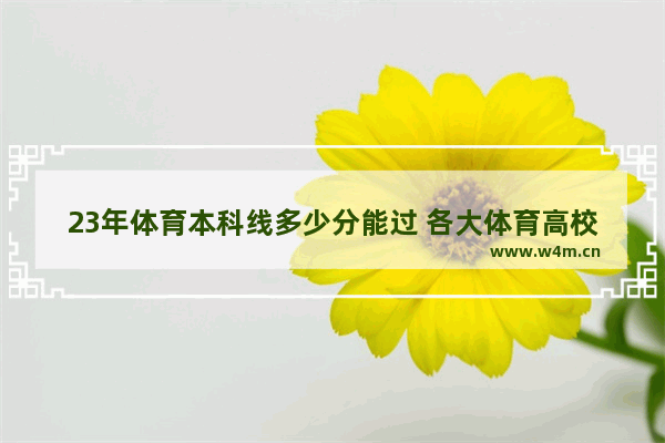 23年体育本科线多少分能过 各大体育高校高考分数线