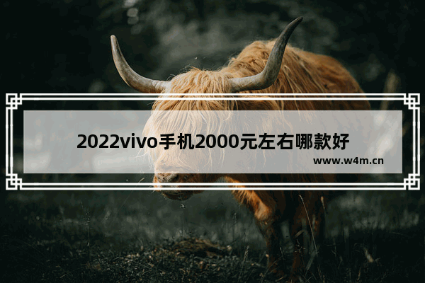 2022vivo手机2000元左右哪款好 两千五元左右性能手机推荐