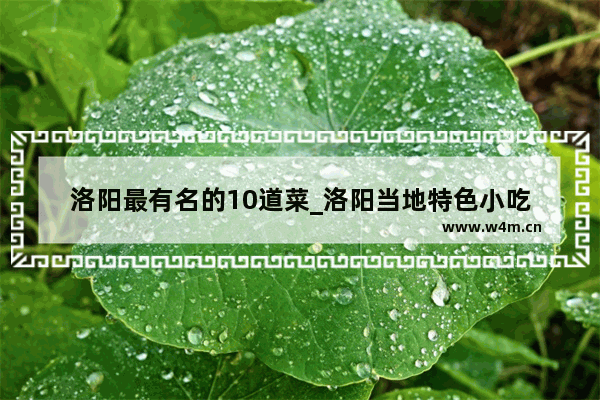 洛阳最有名的10道菜_洛阳当地特色小吃