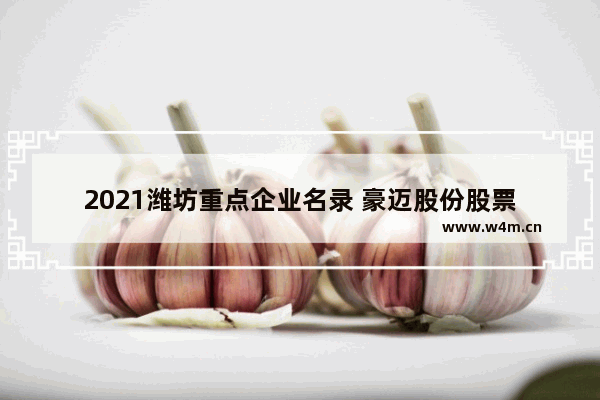 2021潍坊重点企业名录 豪迈股份股票