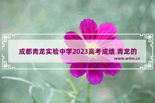 成都青龙实验中学2023高考成绩 青龙的高考分数线是多少