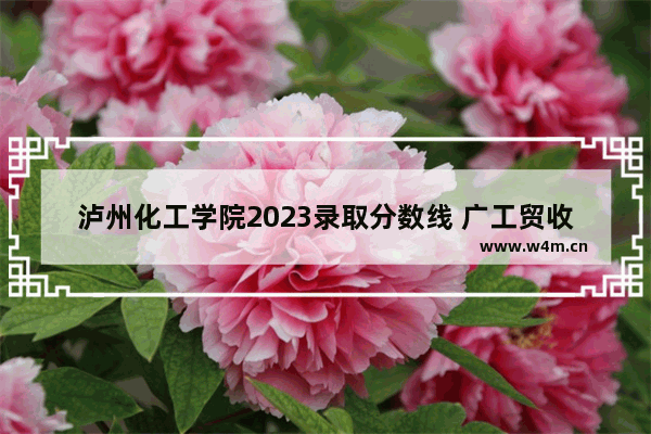 泸州化工学院2023录取分数线 广工贸收夏季高考分数线