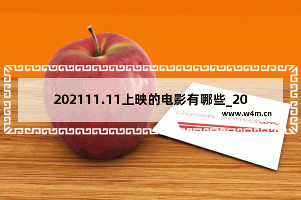 202111.11上映的电影有哪些_2023年上映的电影目录