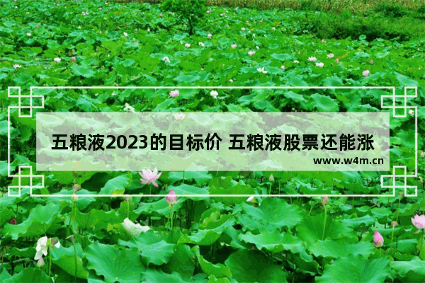 五粮液2023的目标价 五粮液股票还能涨吗