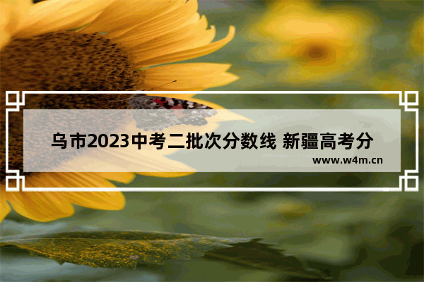 乌市2023中考二批次分数线 新疆高考分数线公办二本