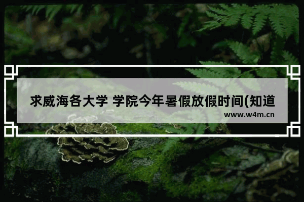 求威海各大学 学院今年暑假放假时间(知道多少说多少 对我很重要 谢了！) 威海有军训吗高考分数线