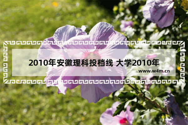 2010年安徽理科投档线 大学2010年高考分数线