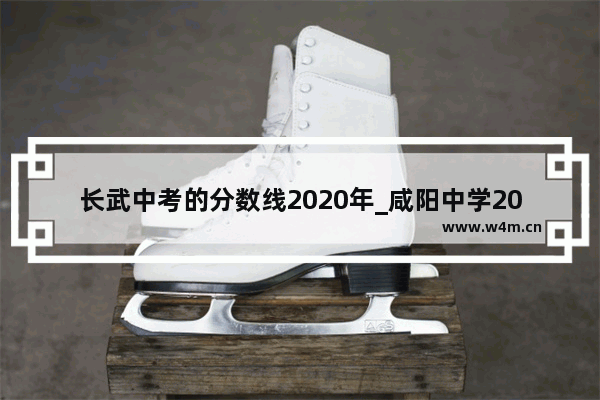 长武中考的分数线2020年_咸阳中学2021录取分数线