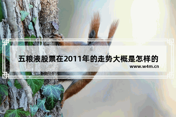 五粮液股票在2011年的走势大概是怎样的 五粮液股票热议