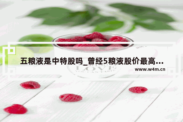 五粮液是中特股吗_曾经5粮液股价最高时多少