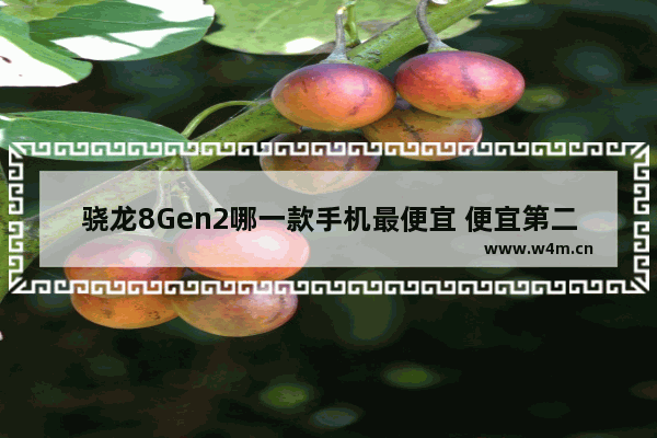 骁龙8Gen2哪一款手机最便宜 便宜第二代骁龙8手机推荐