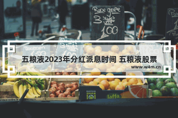 五粮液2023年分红派息时间 五粮液股票上市