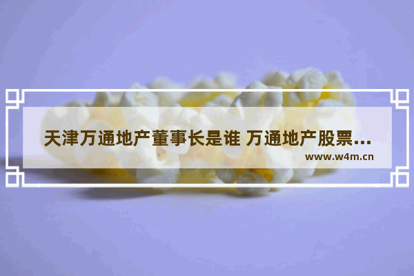 天津万通地产董事长是谁 万通地产股票行情