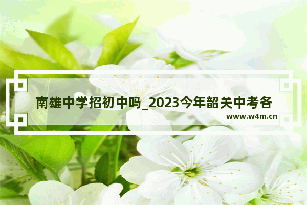 南雄中学招初中吗_2023今年韶关中考各校录取分数