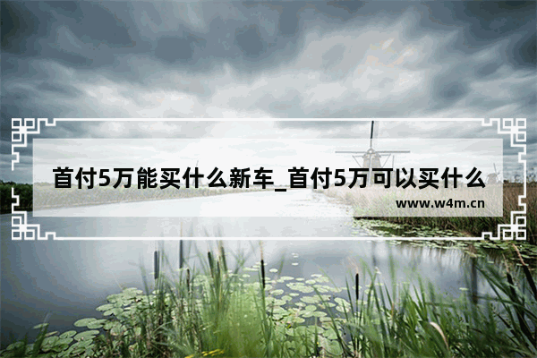 首付5万能买什么新车_首付5万可以买什么车