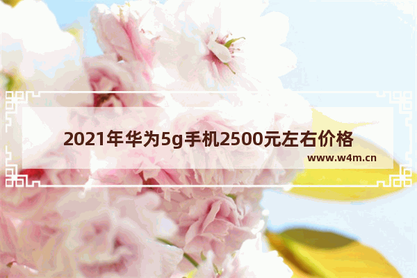 2021年华为5g手机2500元左右价格的哪款手机好 两千元以内手机推荐性价比高