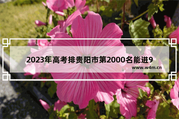 2023年高考排贵阳市第2000名能进985吗_贵州985大学名单