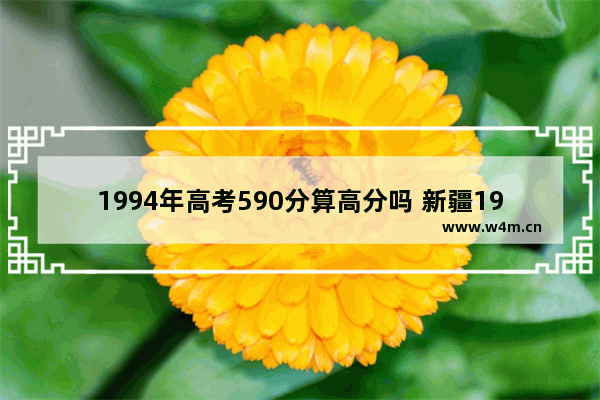 1994年高考590分算高分吗 新疆1994年高考分数线