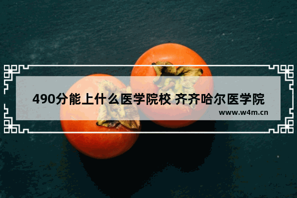 490分能上什么医学院校 齐齐哈尔医学院高考分数线