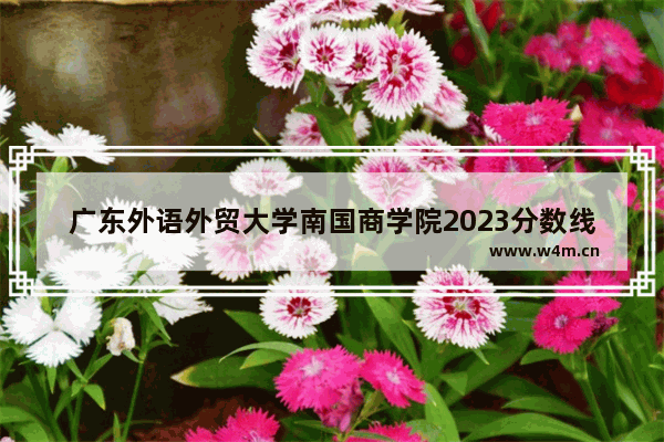 广东外语外贸大学南国商学院2023分数线 广东商学院高考分数线