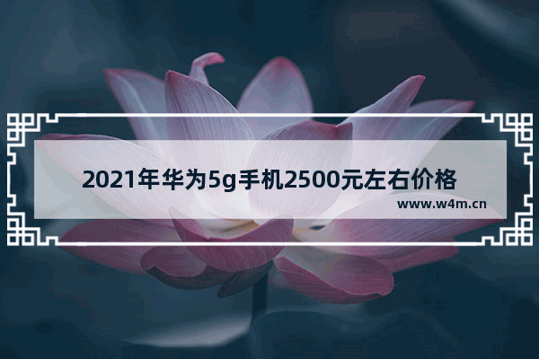 2021年华为5g手机2500元左右价格的哪款手机好_两千元以内手机推荐性价比高