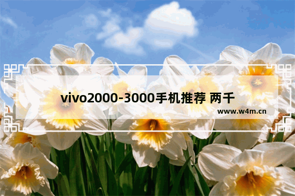 vivo2000-3000手机推荐 两千元以内手机推荐iqoo