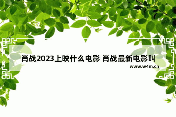 肖战2023上映什么电影 肖战最新电影叫什么名字啊