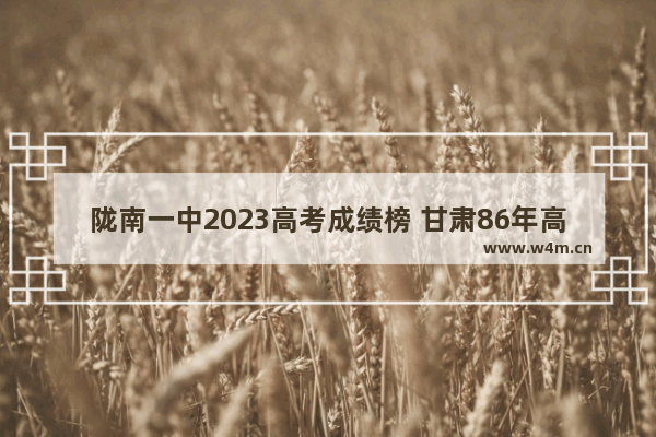 陇南一中2023高考成绩榜 甘肃86年高考分数线