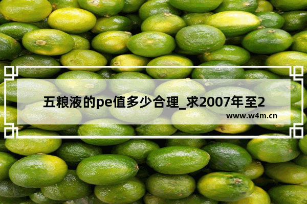 五粮液的pe值多少合理_求2007年至2010年四年的五粮液公司股票每股市价 年末的