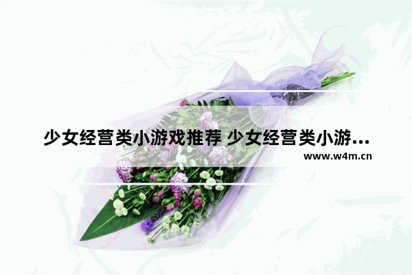 少女经营类小游戏推荐 少女经营类小游戏推荐