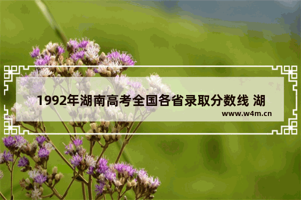 1992年湖南高考全国各省录取分数线 湖南90年高考分数线