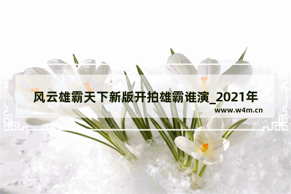 风云雄霸天下新版开拍雄霸谁演_2021年电影院上映的电影肖战